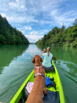 7 JULIJ - Irena Bertoncelj - Trbojsko jezero